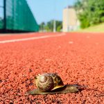 Slow leader decision making leadership differentiator