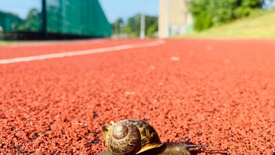 Slow leader decision making leadership differentiator