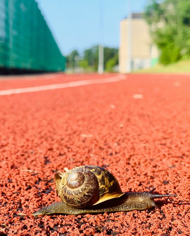 Slow leader decision making leadership differentiator