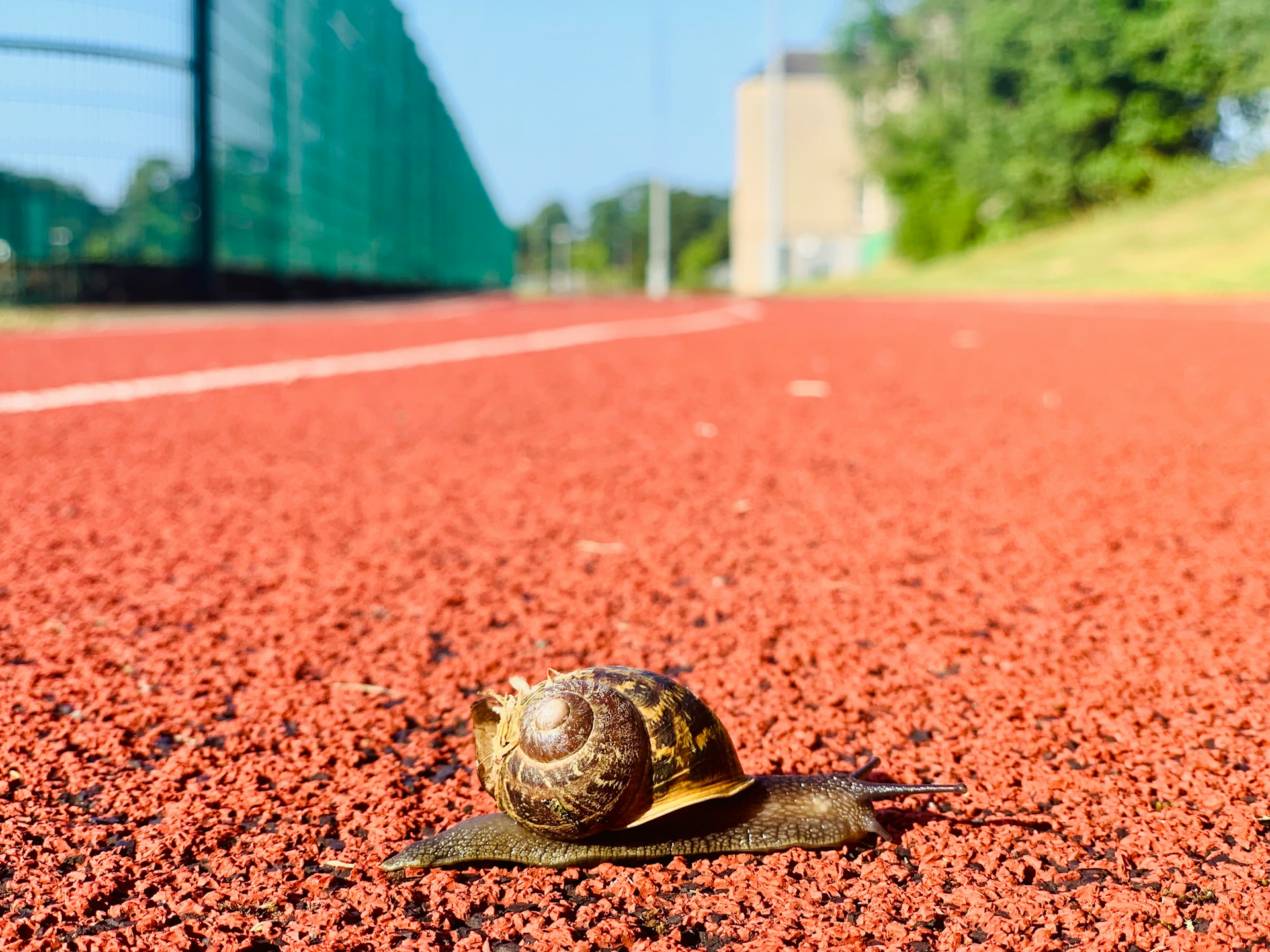 Slow leader decision making leadership differentiator