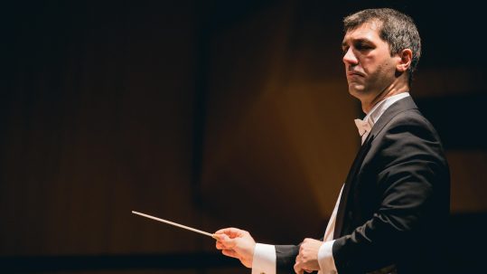 Chief Orchestrator CEO coordinating internal teams and external partners